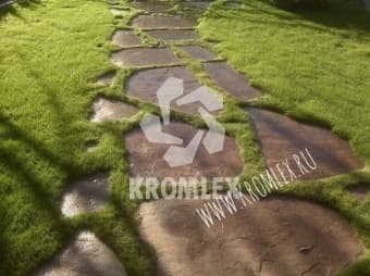 Как ухаживать за пошаговыми дорожками