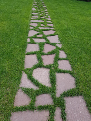 Лемезит дорожка