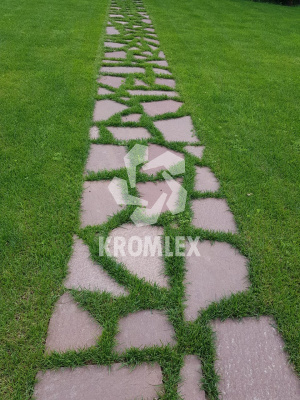 Лемезит дорожка