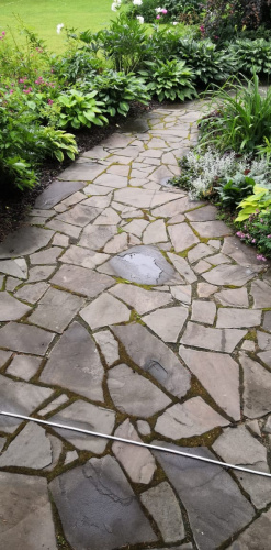 Серо-зеленый дорожка 2