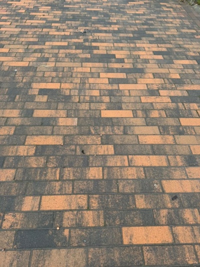 Тротуарная плитка Штеингот Колормикс Тигр, 60 мм