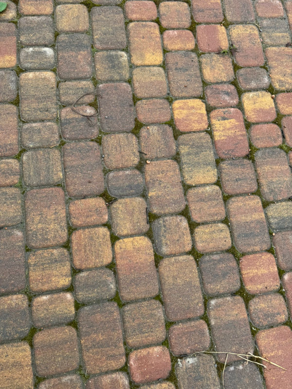 Тротуарная плитка