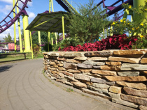 Златолит желтый