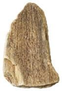 Галтованный камень «Кора Дерева»