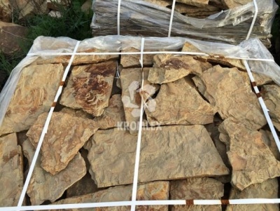 Песчаник дракон рыжий