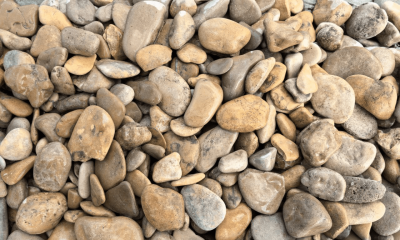 Галька Каспийская