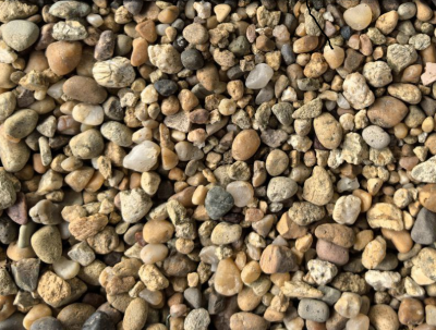 Галька рыжая