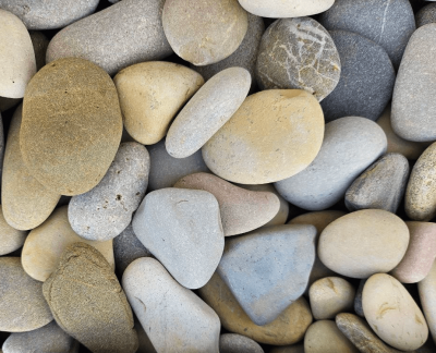 Галька черноморская