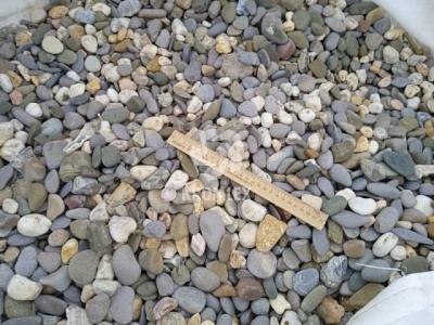 Галька крымская