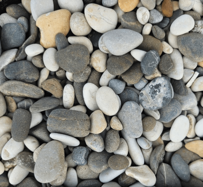 Галька азовская