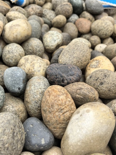 Галька горянка